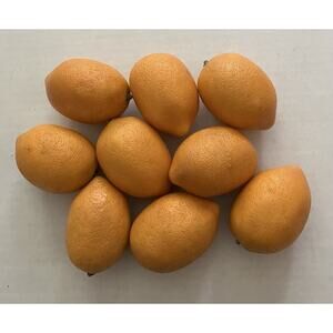Decorative Faux Fake Lifelike Lemons for Fruit Bowl Sturdy Hard Plastic Lot of 9